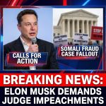 Elon Musk Demands Large-Scale Impeachment of Judges Over Controversial Somali Fraudsters Case