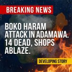 BREAKING: Boko Haram Assault on Adamawa Communities Leaves 14 Dead, Shops Ablaze