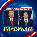 JUST IN: Trump backs idea of Marco Rubio becoming Cuba’s president, says ‘sounds good’