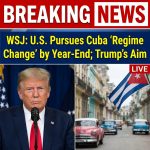 WSJ: U.S. Seeks Cuba ‘Regime Change’ by Year-End; Trump Calls Ending Castro Era His Legacy