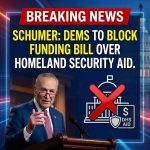 Schumer: Democrats Will Block Funding Bill if It Includes Homeland Security Aid