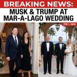<p>Elon Musk unexpectedly attended Dan Scavino’s wedding to Erin Elmore at Donald Trump’s Mar-a-Lago club in Palm Beach on February 1, 2026, where President Trump and members of his family and administration were present; Trump praised the couple as “very loyal,” and Reuters photos captured the event. Multiple outlets reported Musk among the star‑studded guests and said he arrived with Shivon Zilis. The ceremony followed a back‑to‑back weekend of Trump‑hosted nuptials, and Scavino — a longtime Trump aide now leading the Presidential Personnel Office — had proposed last September on White House grounds. Photos and social posts spread quickly online. (<a href="https://www.reutersconnect.com/item/wedding-of-dan-scavino-white-house-deputy-chief-of-staff-and-erin-elmore-the-director-of-art-in-embassies-at-the-us-department-of-state-at-mar-a-lago-in-palm-beach/dGFnOnJldXRlcnMuY29tLDIwMjY6bmV3c21sX1JDMjVESkExQVc1WA?utm_source=openai">reutersconnect.com</a>)</p>